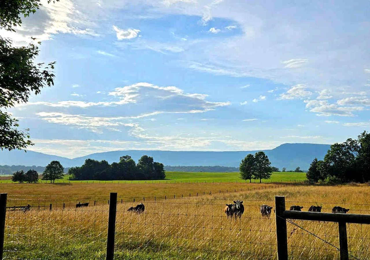 Piney Hill B&B And Cottages Luray Luaran gambar