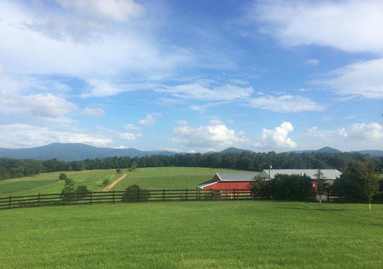 Piney Hill B&B And Cottages Luray Luaran gambar
